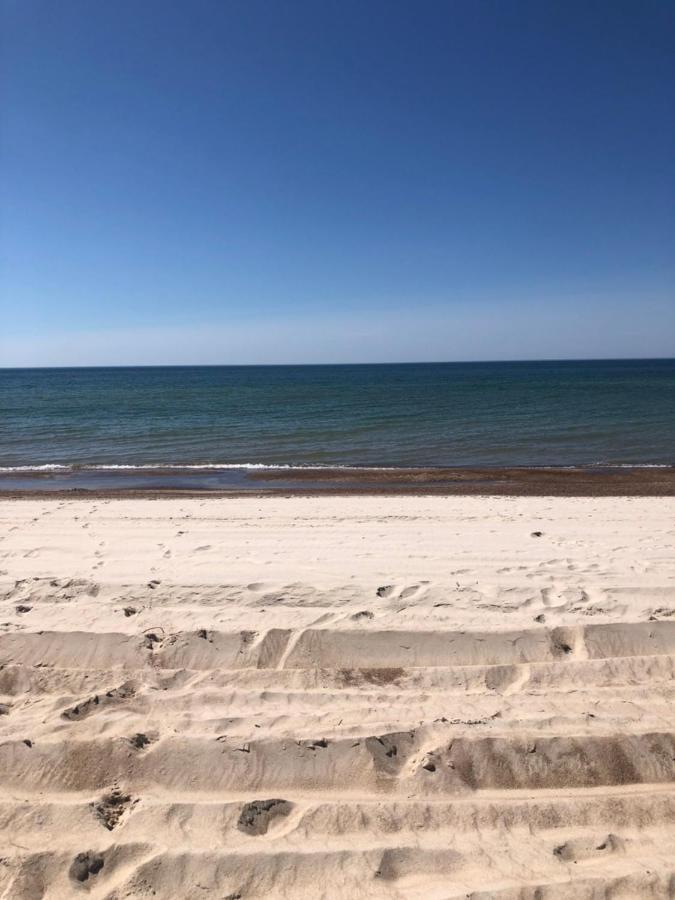 Bangu Apartamentai Palanga Dış mekan fotoğraf